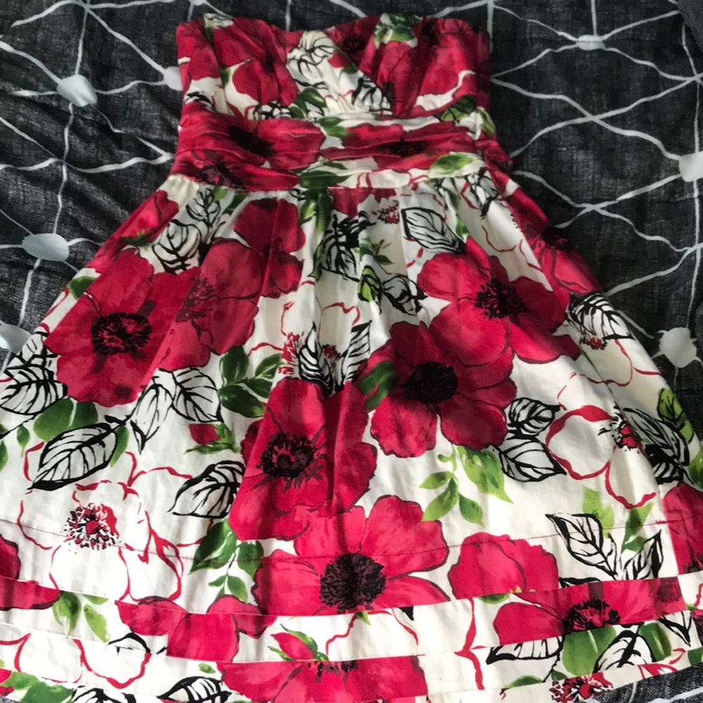 Size 3 Dress